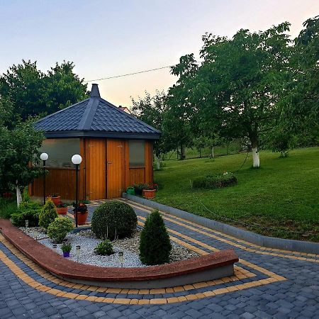 U Wladzia Apartment Gowidlino Bagian luar foto